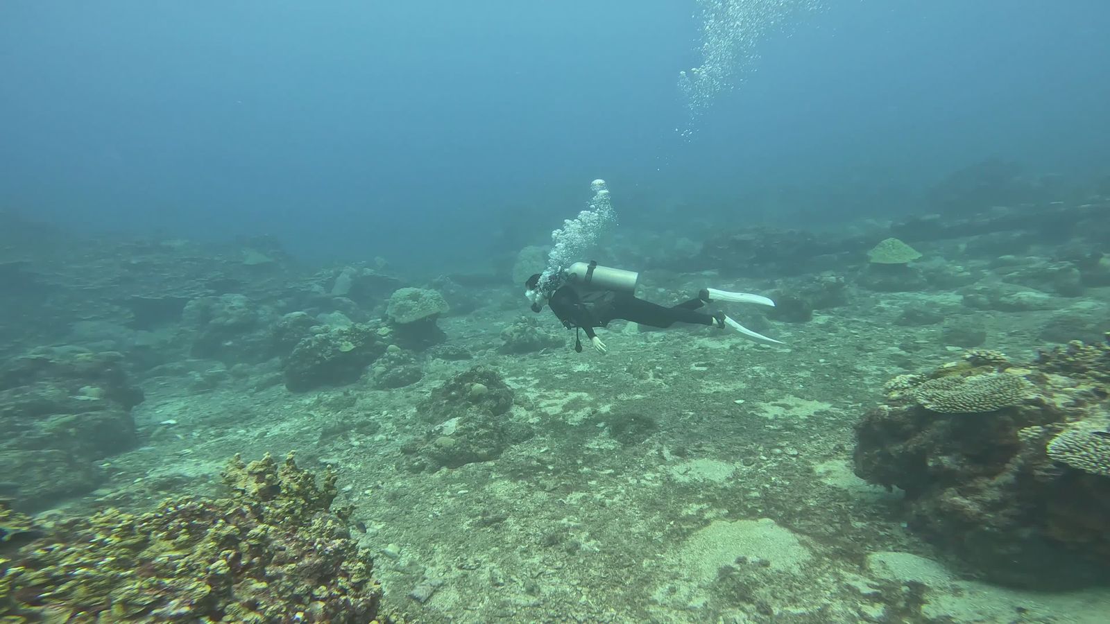Scuba Diver Exploring Vibrant Coral Reefs Free Stock Video Footage ...