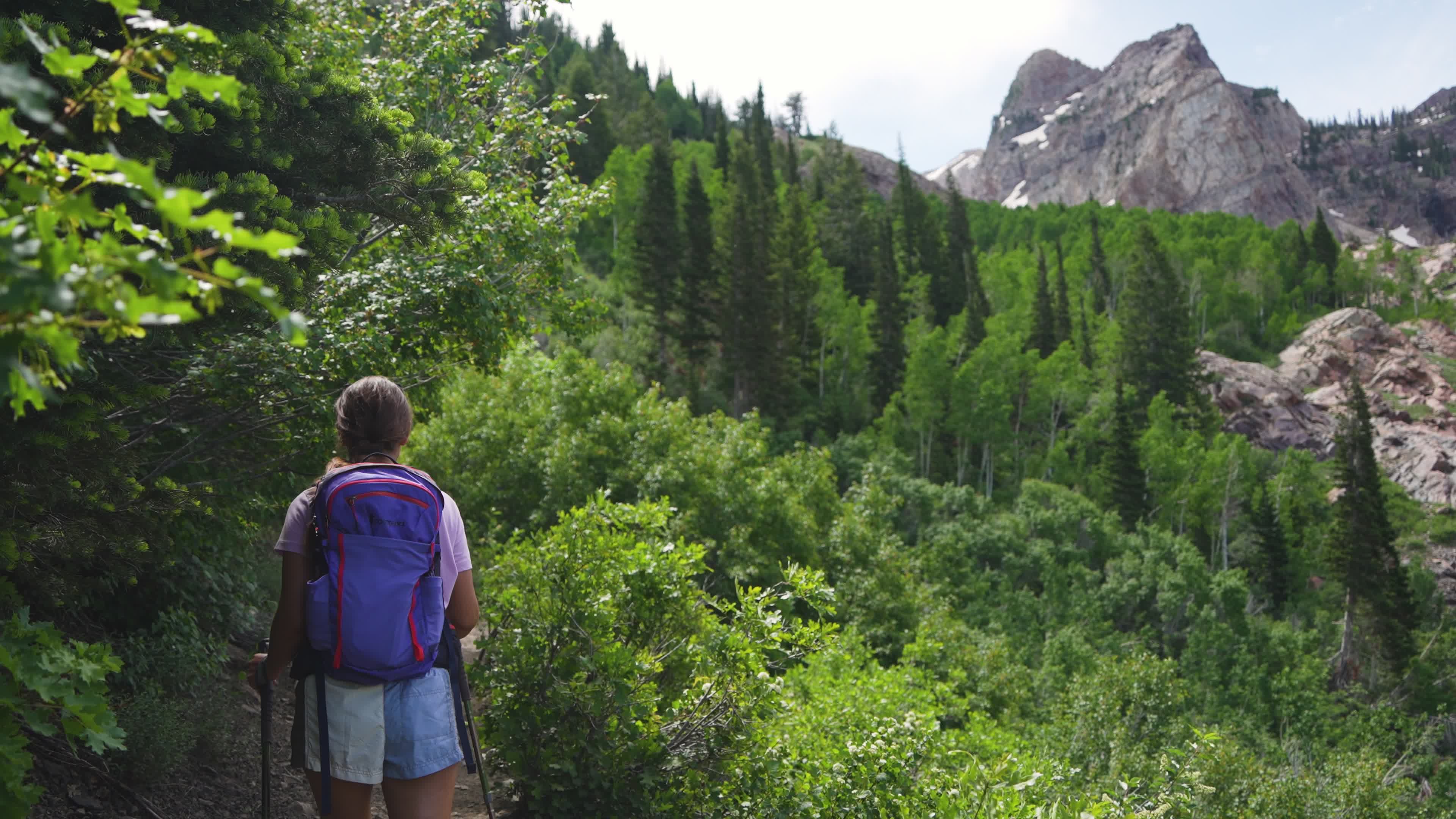 Woman Hiking Scenic Trail in Wasatch Mountains Free Stock Video Footage ...