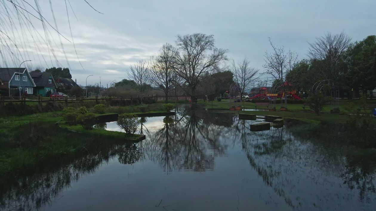 Serene Park Landscape with Reflective Pond Free Stock Video Footage ...