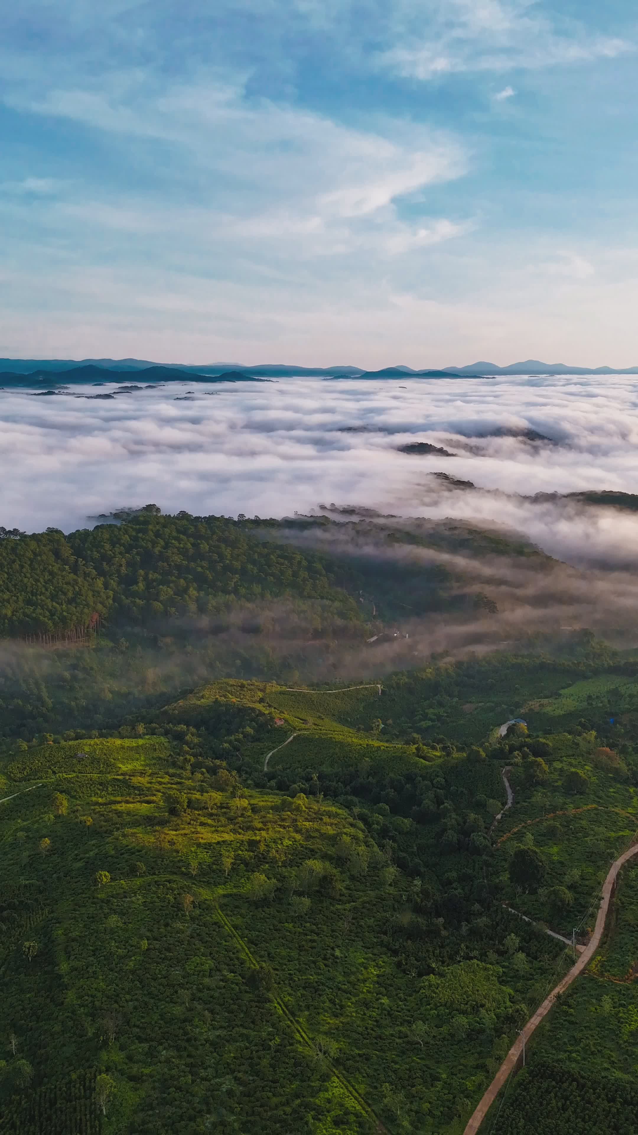 Aerial View of Forest Landscape at Sunrise Free Stock Video Footage ...