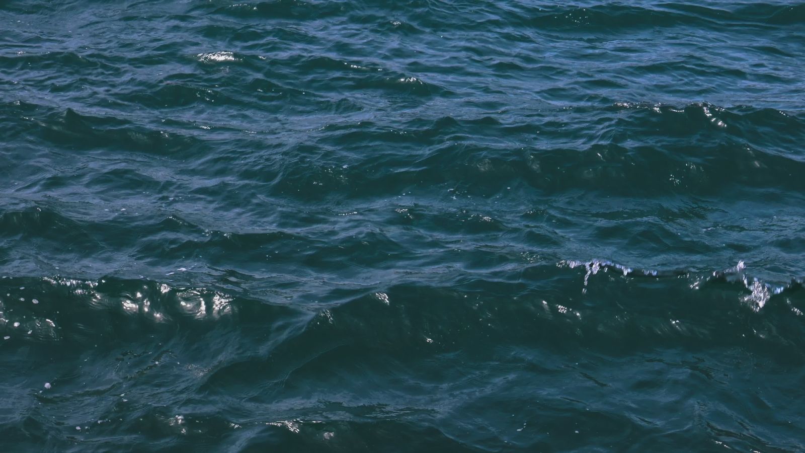 Sea Environment Videos, Download The BEST Free 4k Stock Video Footage ...