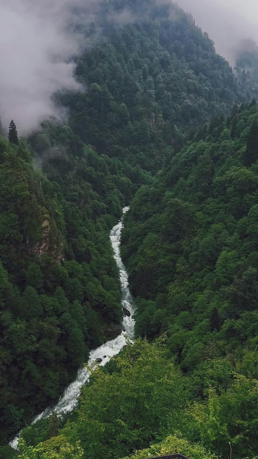 Video by Enes Türkoğlu