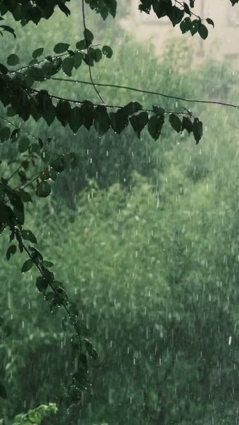 下雨天视频素材