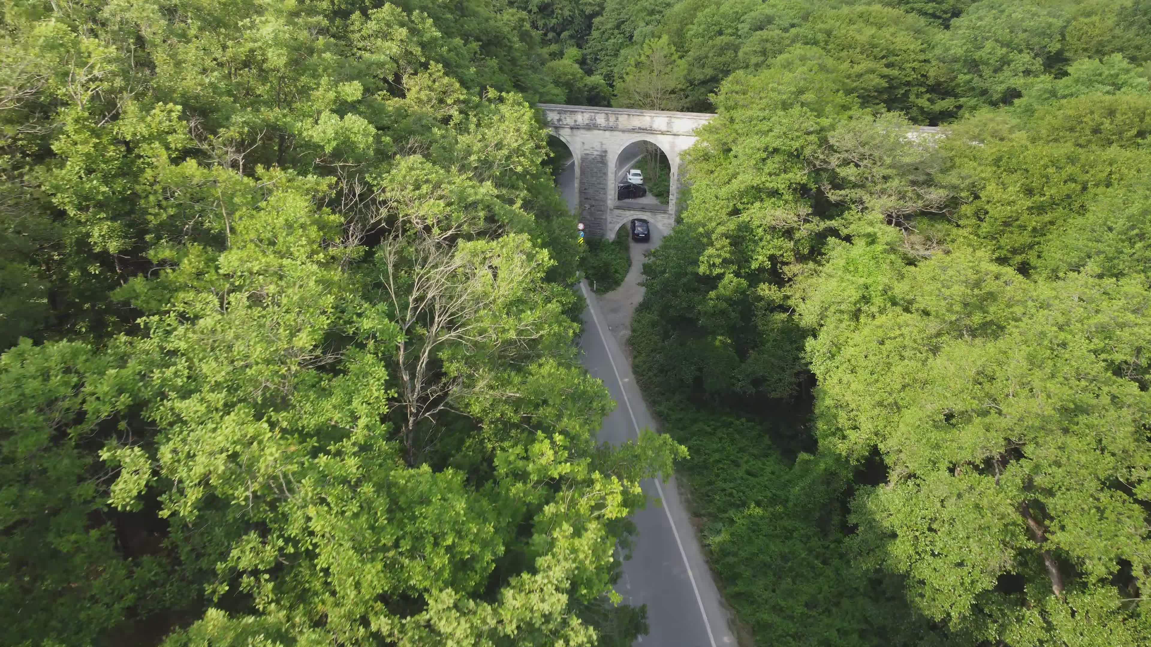 Aerial View of Historic Aqueduct in Lush Forest Free Stock Video ...