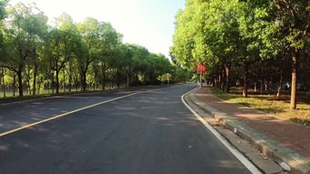 锦州市区驾车免费下载高清视频视频素材视频素材