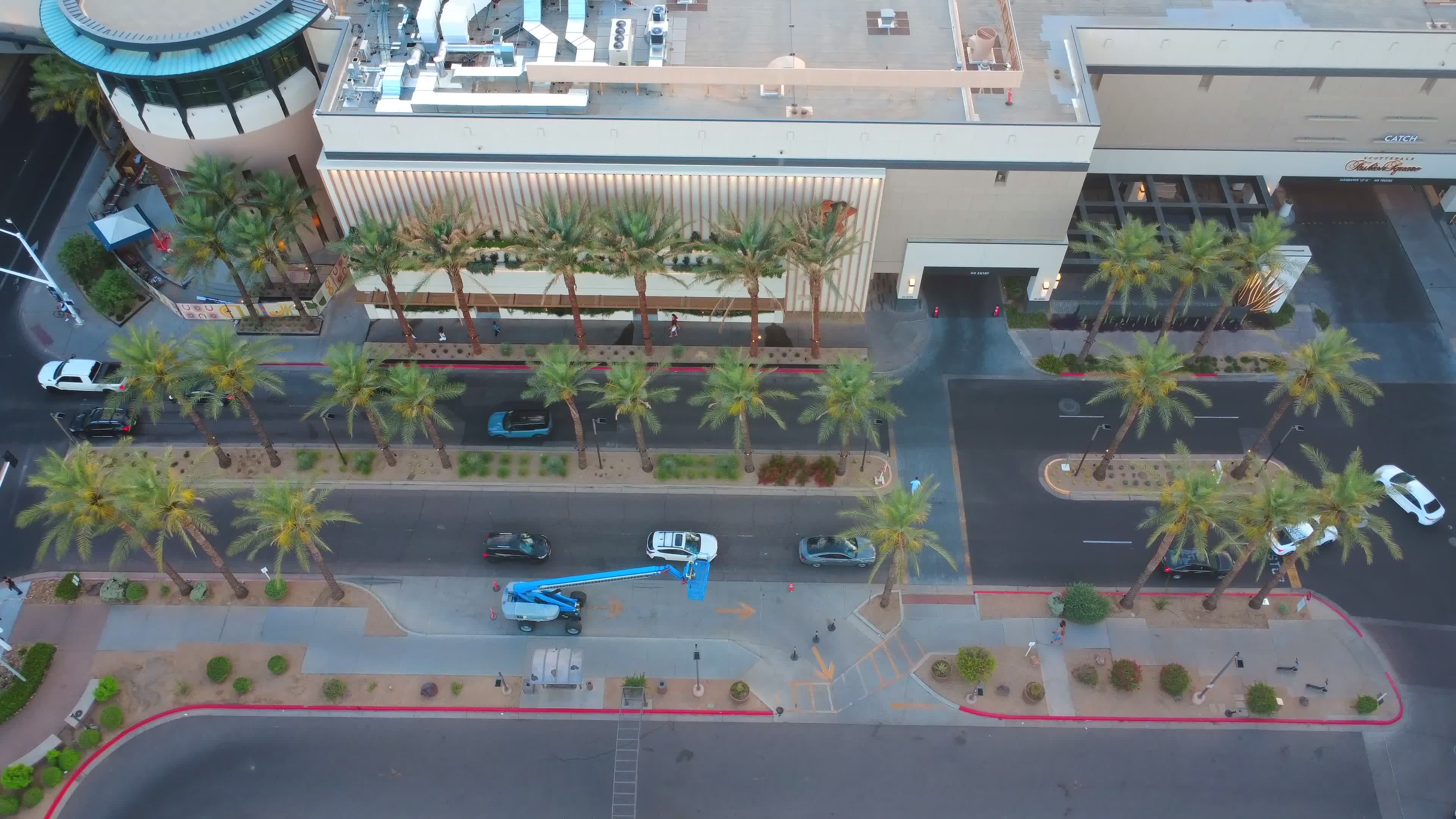 Aerial View of Urban Street with Palm Trees Free Stock Video Footage ...