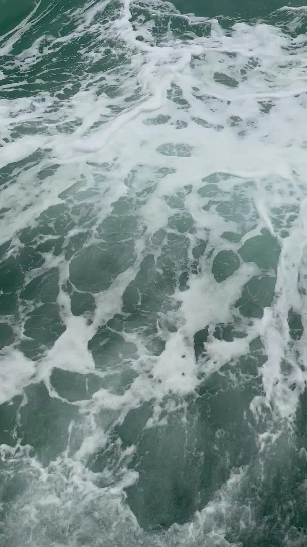 Pexels Video 32705691