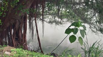 风景视频素材视频素材免费下载视频素材视频素材