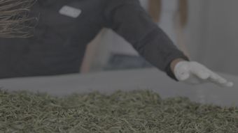劣质茶视频素材