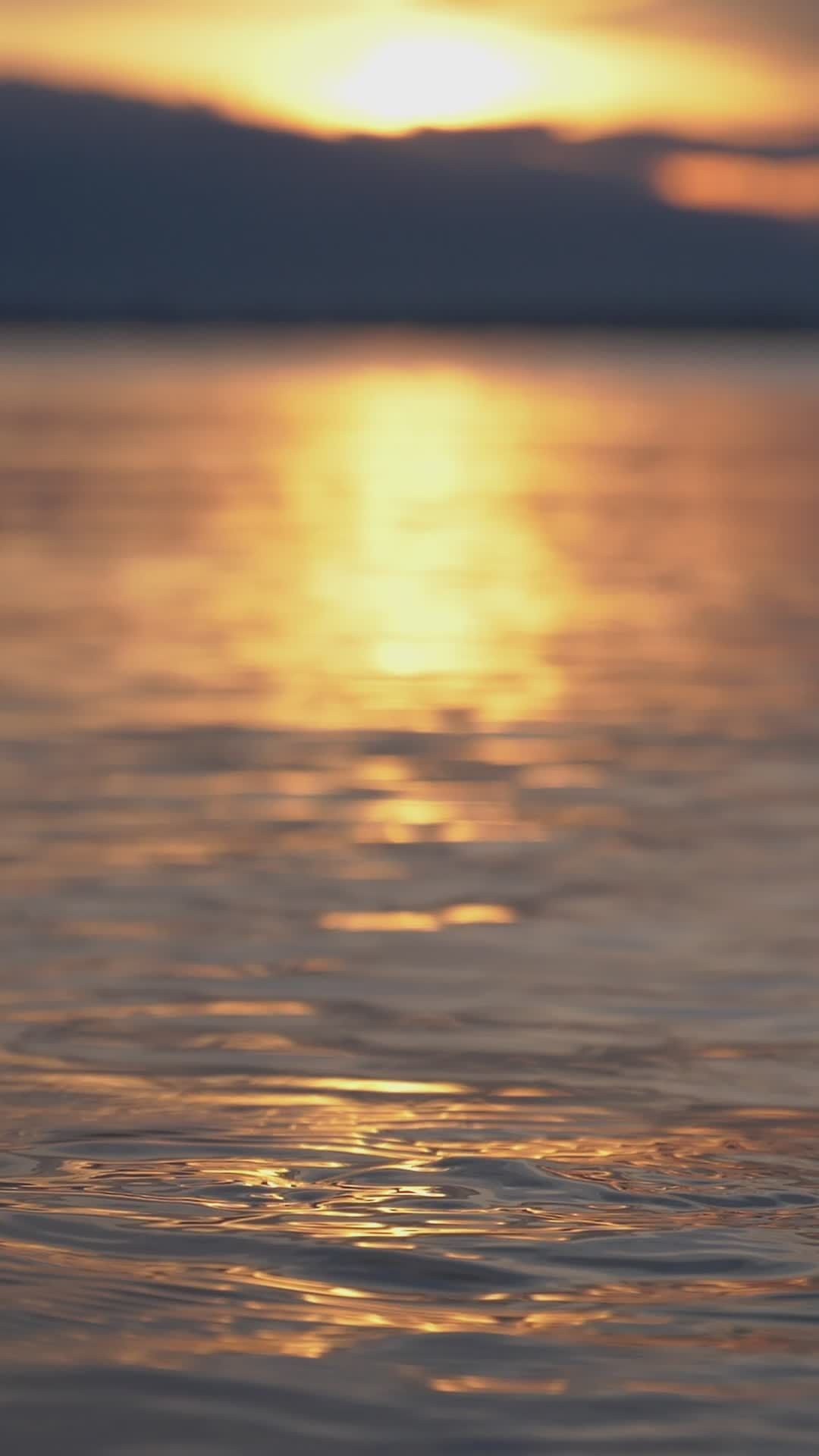 Golden Sunset Reflection on Serene Ocean Free Stock Video Footage ...