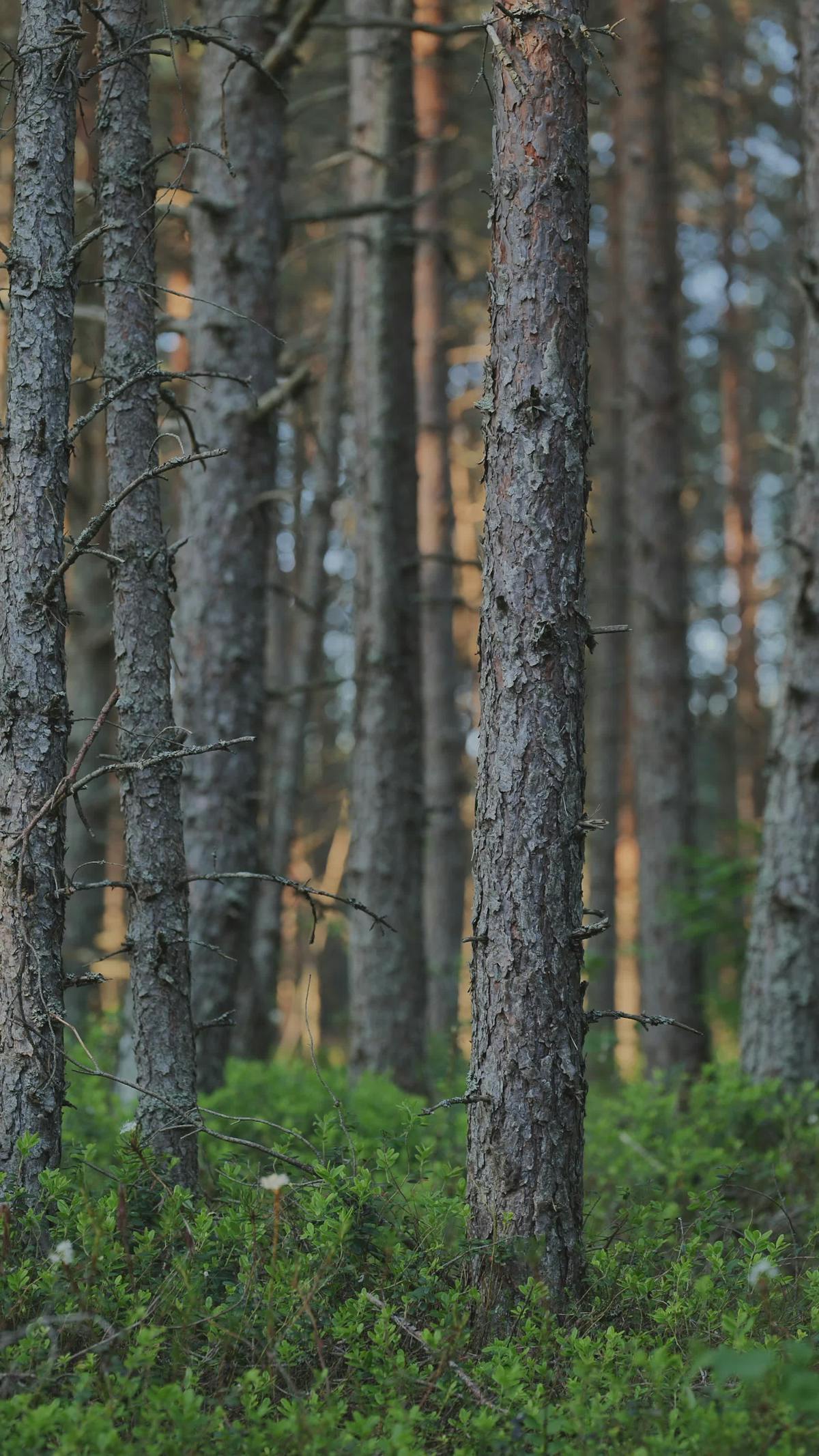 6.000+ Video Intip+mandi+bugil Terbaik · Unduh Gratis 100% · Video Stok