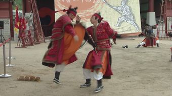 武林外传免费下载视频素材