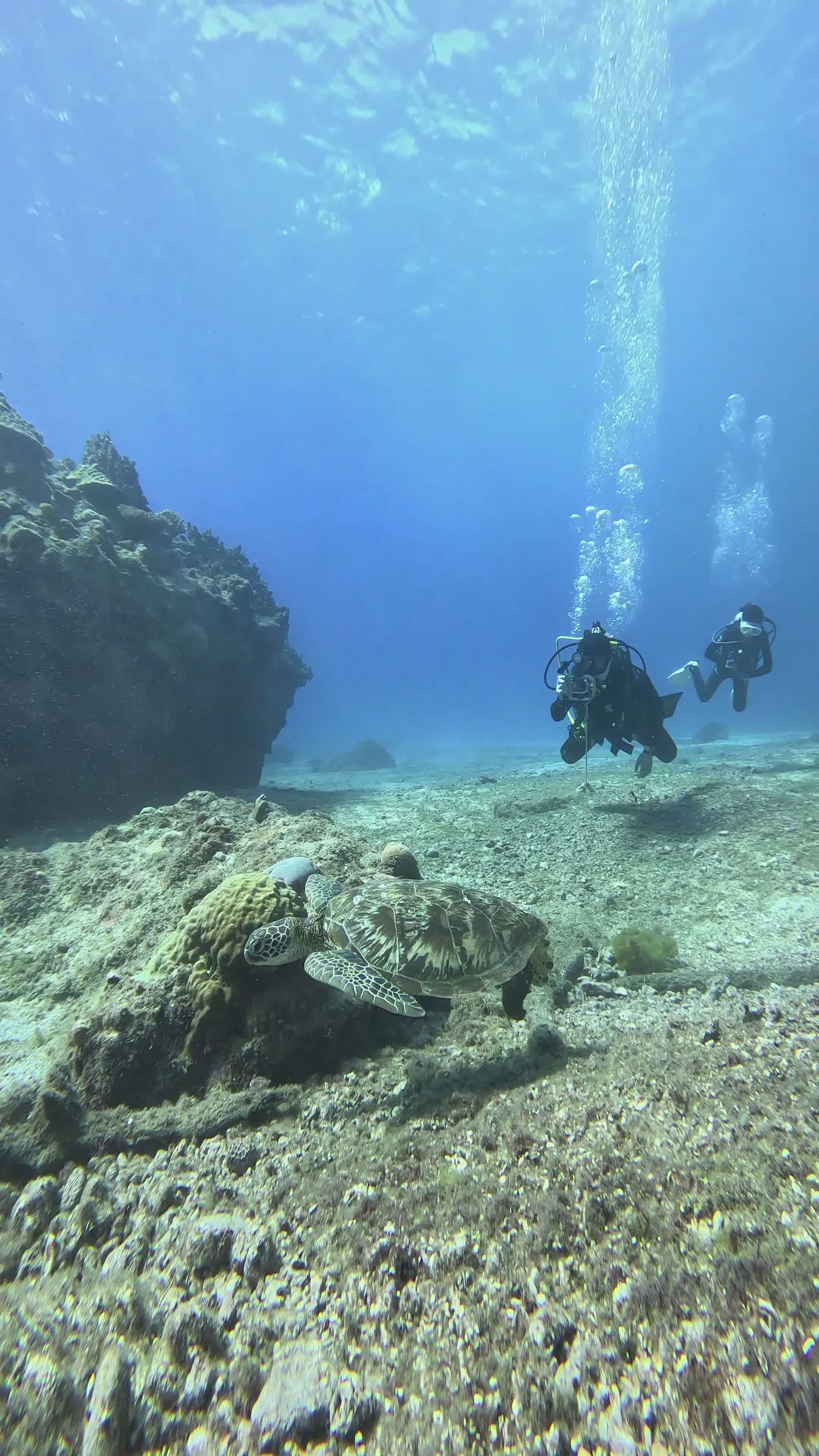 Scuba Diver Exploring Underwater Tire Reef Free Stock Video Footage ...