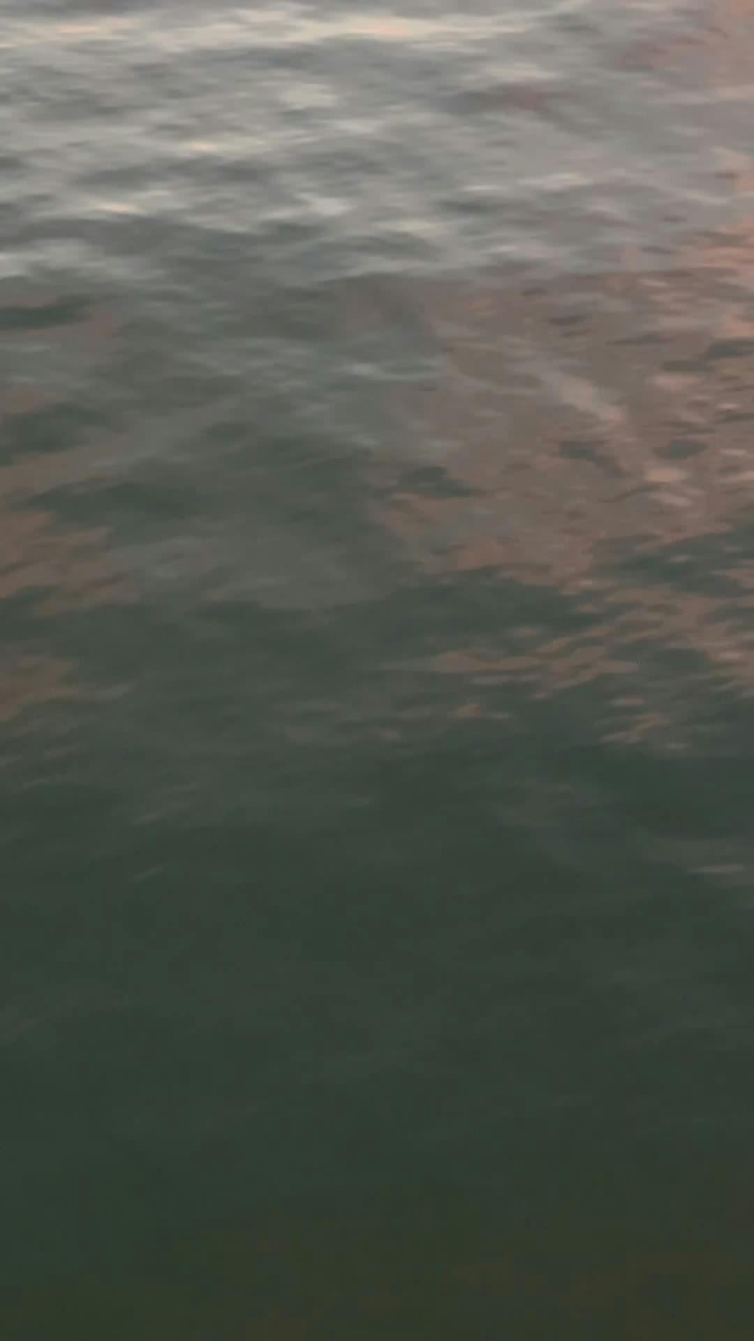 Video by Alexey Demidov