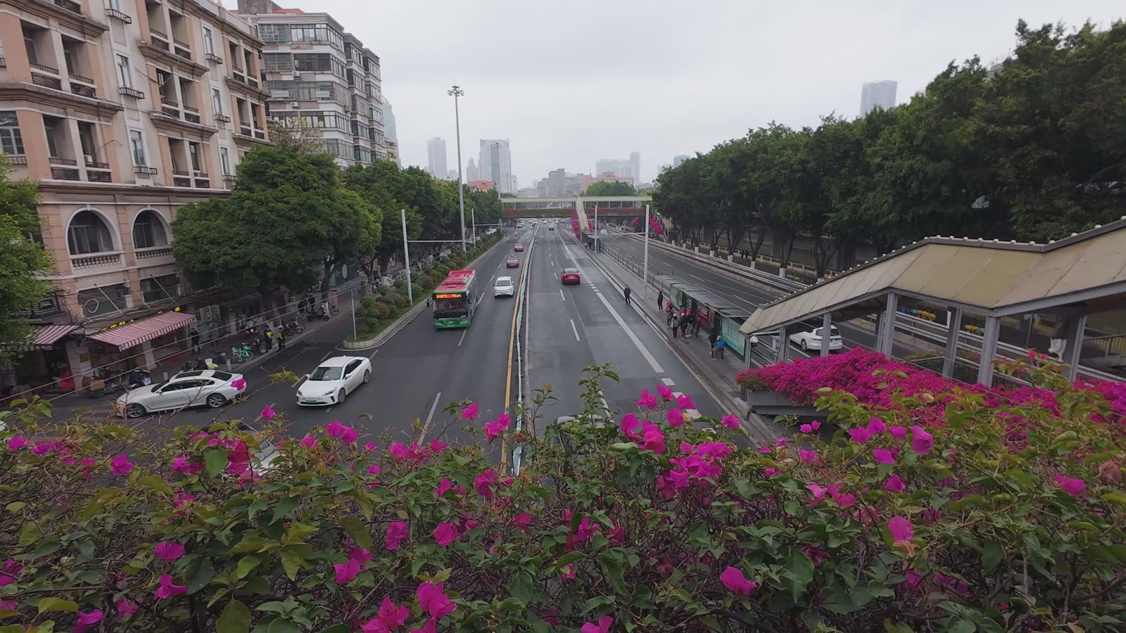 Chinese+Girls+Giving+Bj+And+Swallowing Videos, Download The BEST Free