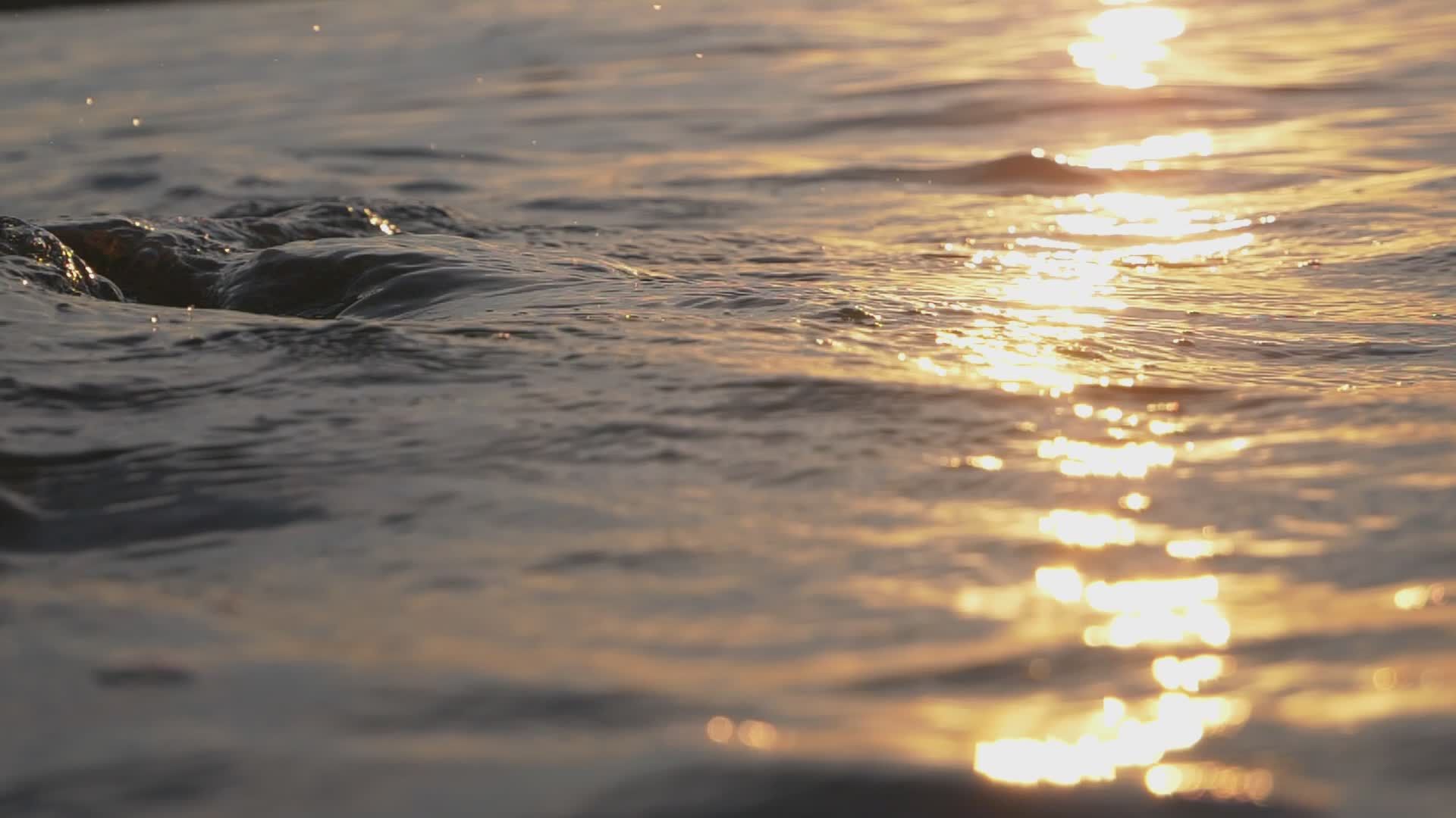 Golden Sunlight Reflecting on Ocean Waves Free Stock Video Footage ...