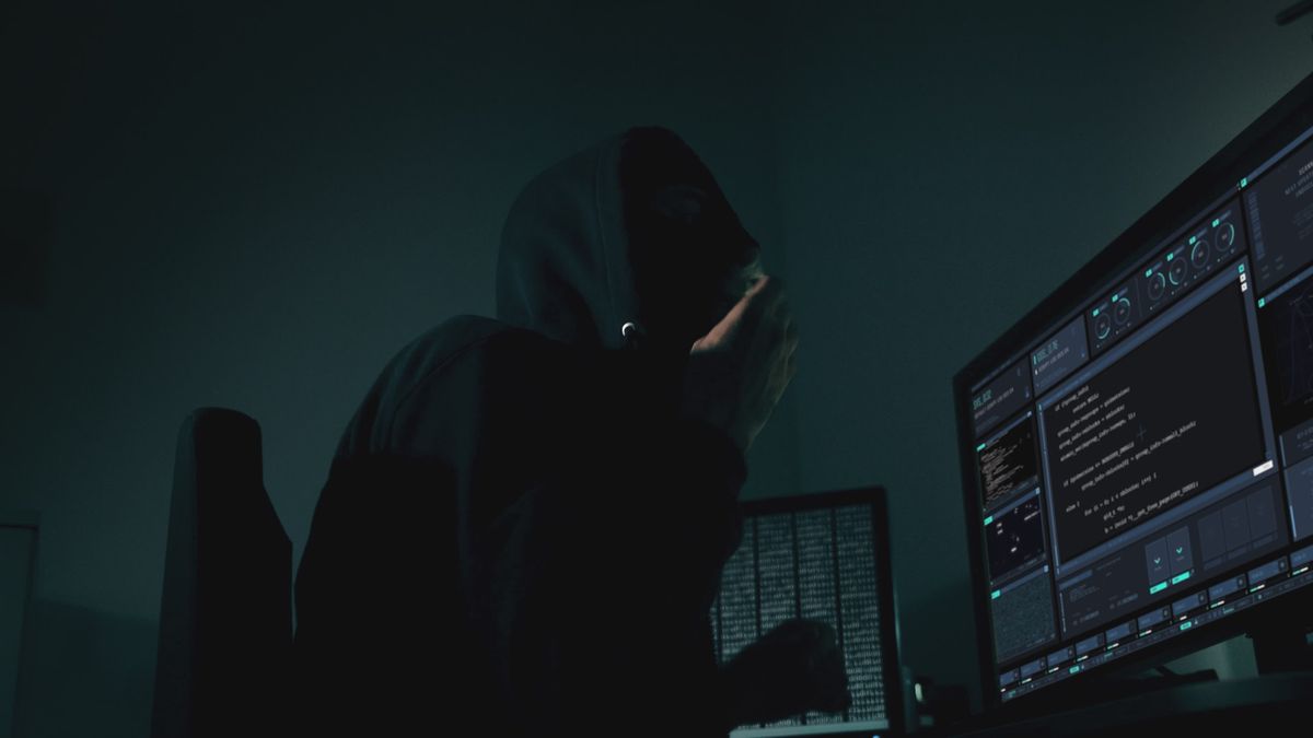 A Man Looking at Computer Monitor Free Stock Video Footage, Royalty ...