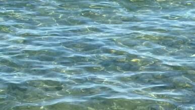 calm ocean waves on a sunny day