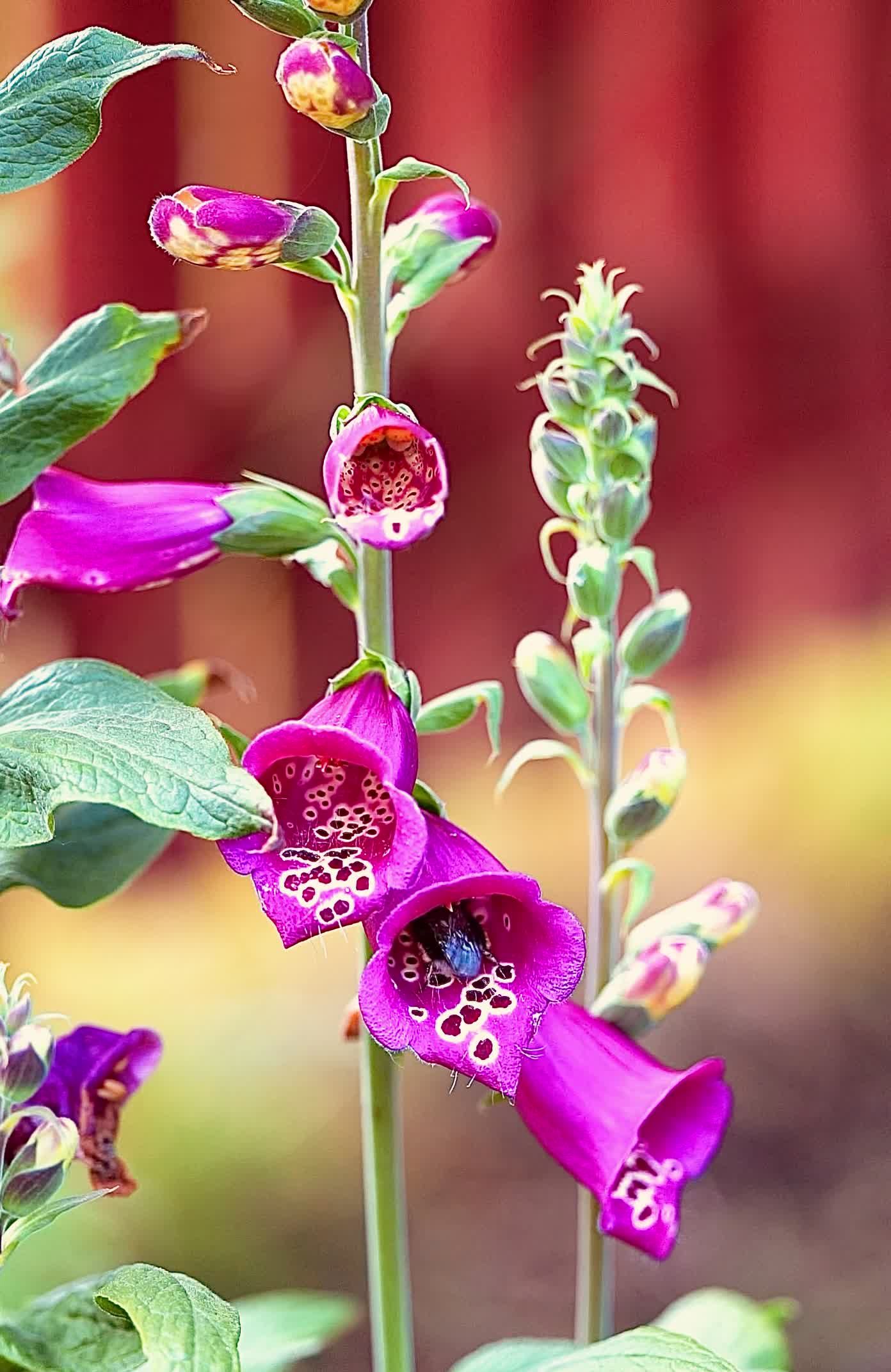 Timelapse Copilation Videos Download The Best Free 4k Stock Video