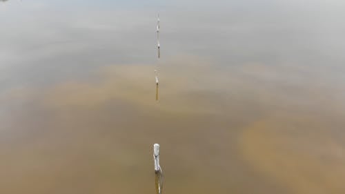 Drone Footage of a Salt Lake