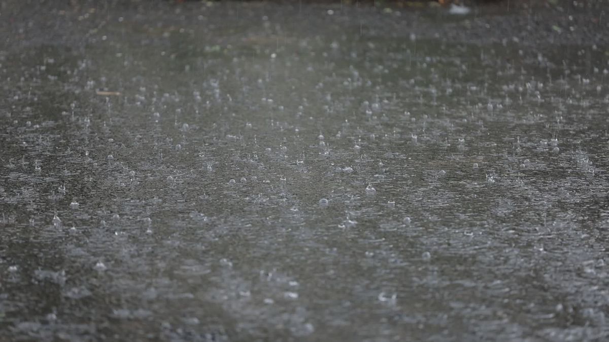 Rain Droplets Falling on Pavement Surface Free Stock Video Footage ...