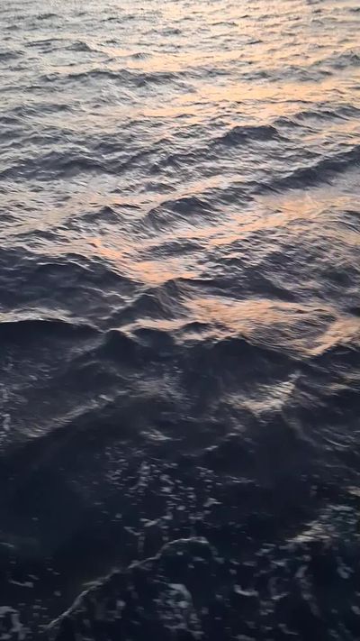 Mischa Shin's ocean waves sunset video