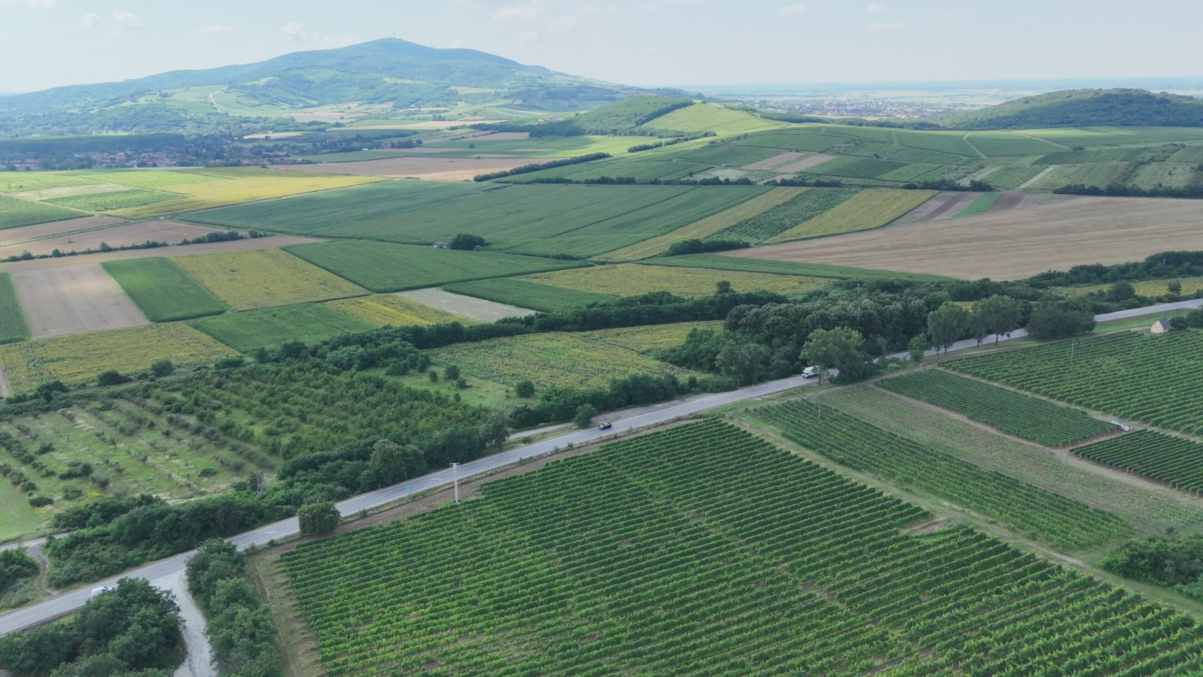 Aerial View of Lush Green Farmland in Summer Free Stock Video Footage ...
