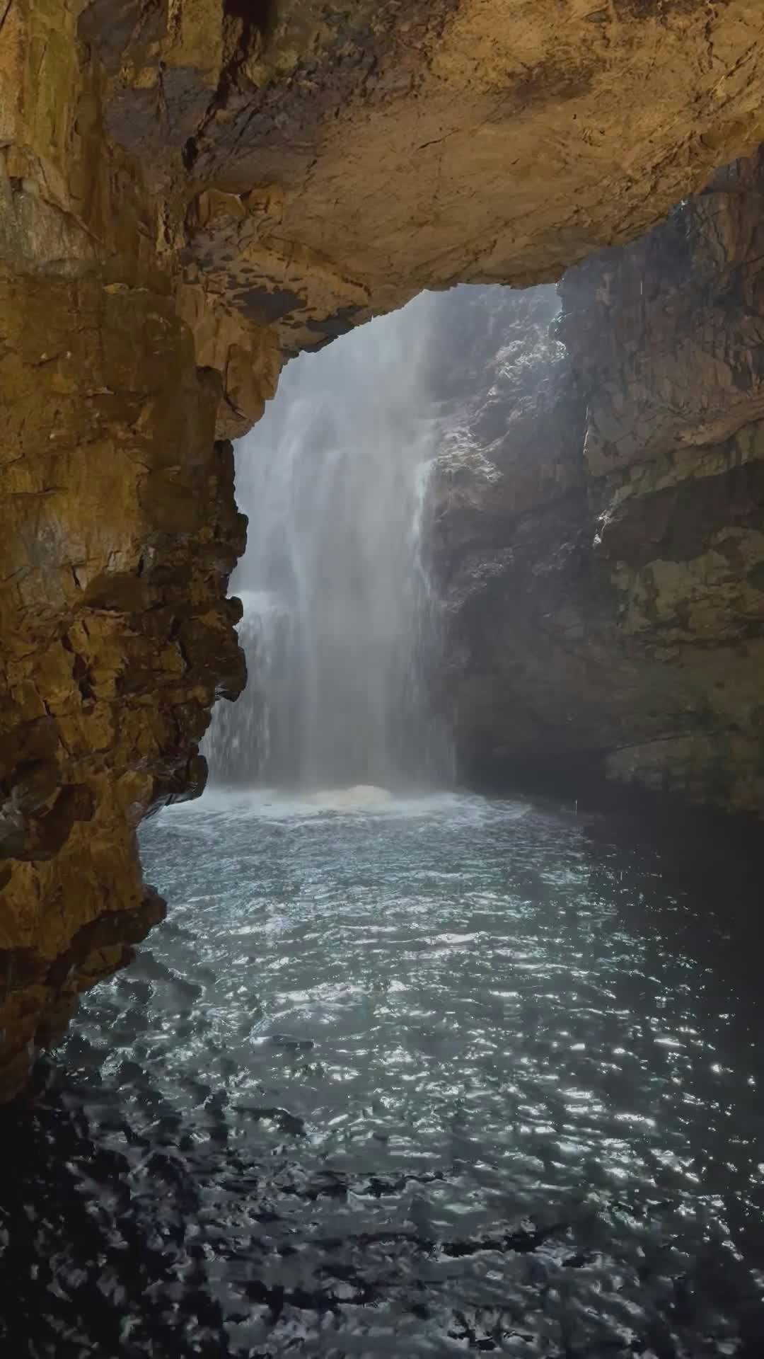 Video by Petra Nesti