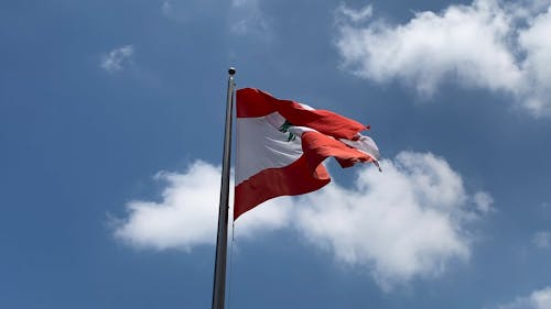 Кадры с флагом Ливана глазами Червя