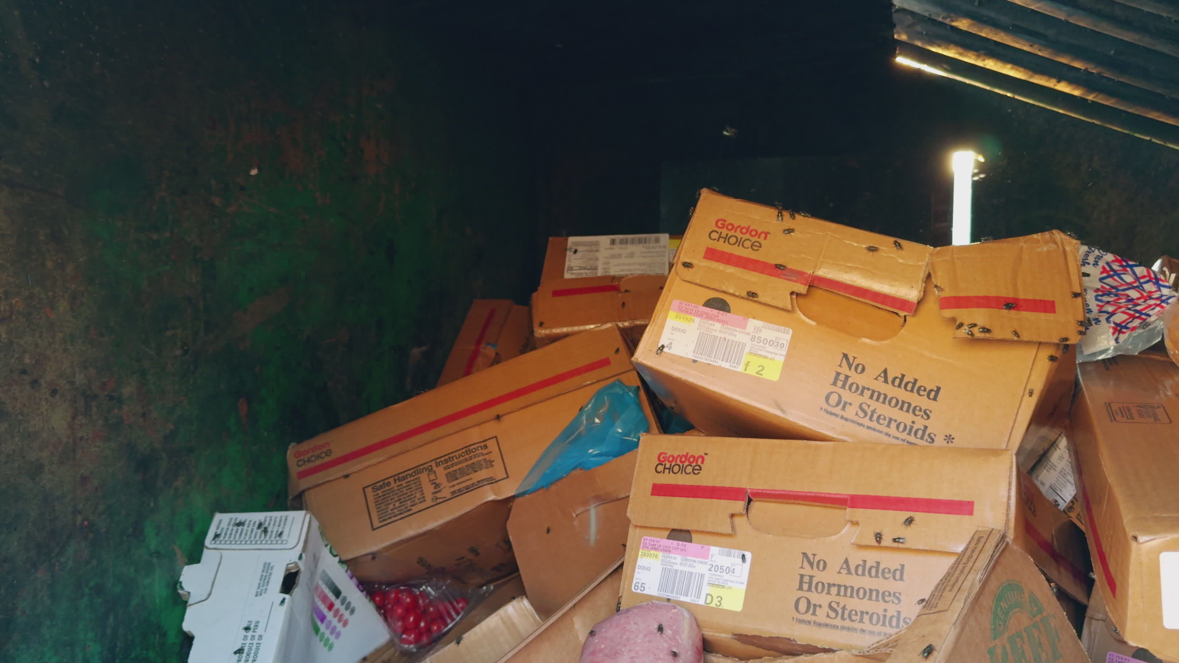 Disposal of Cardboard Boxes in Dumpster Free Stock Video Footage ...