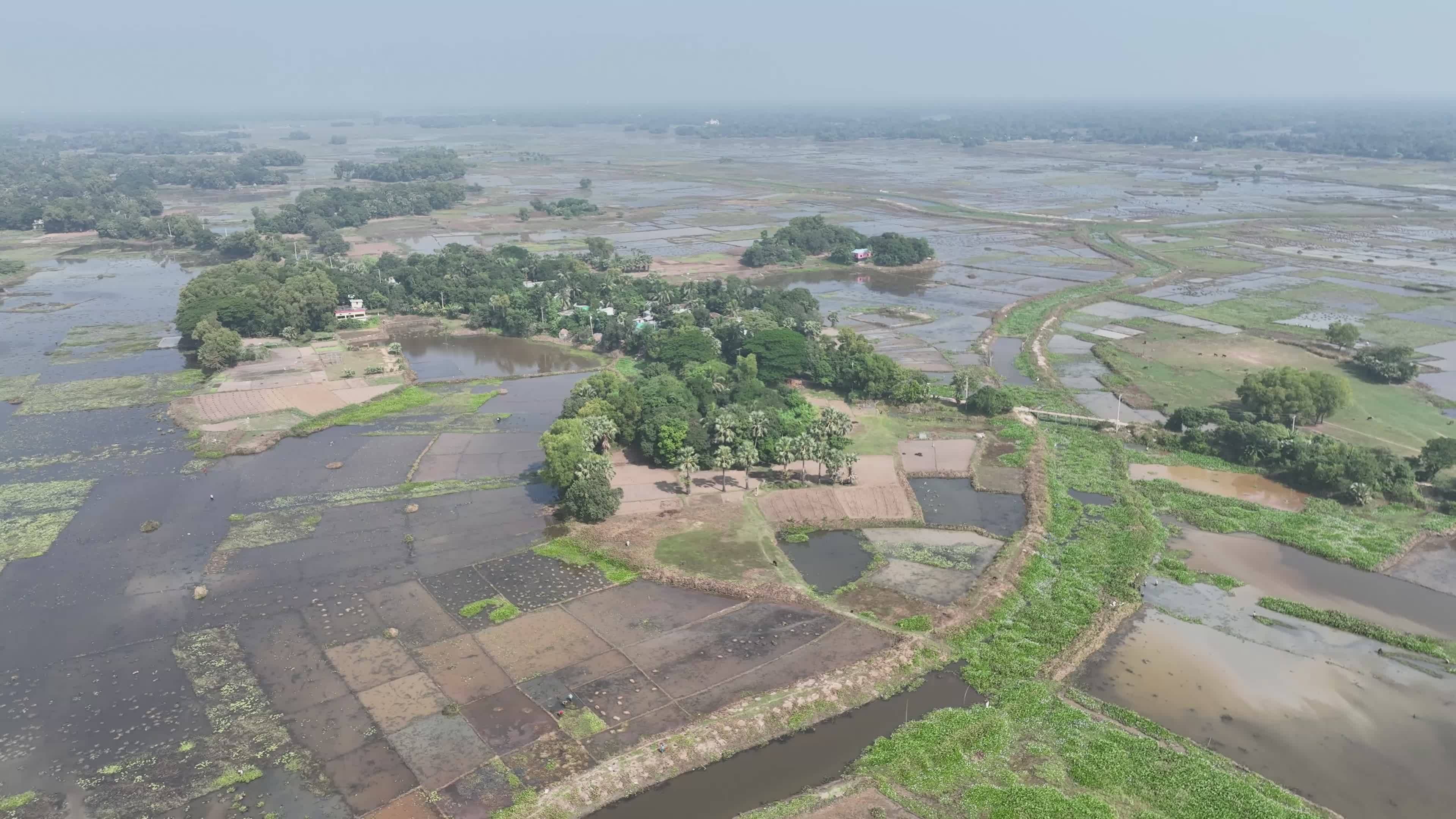 Aerial View of Lush Rural Landscape in Bangladesh Free Stock Video ...