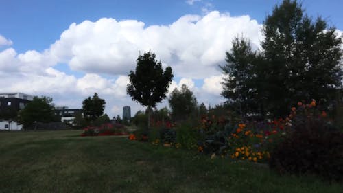 Un Jardín De Flores Bajo Un Cielo Azul Con Nubes Blancas