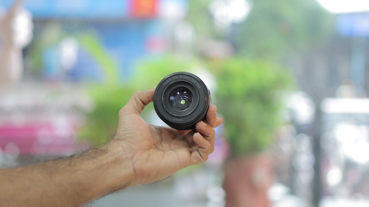 Doggie+Style+Facing+Camera Videos, Download The BEST Free 4k Stock