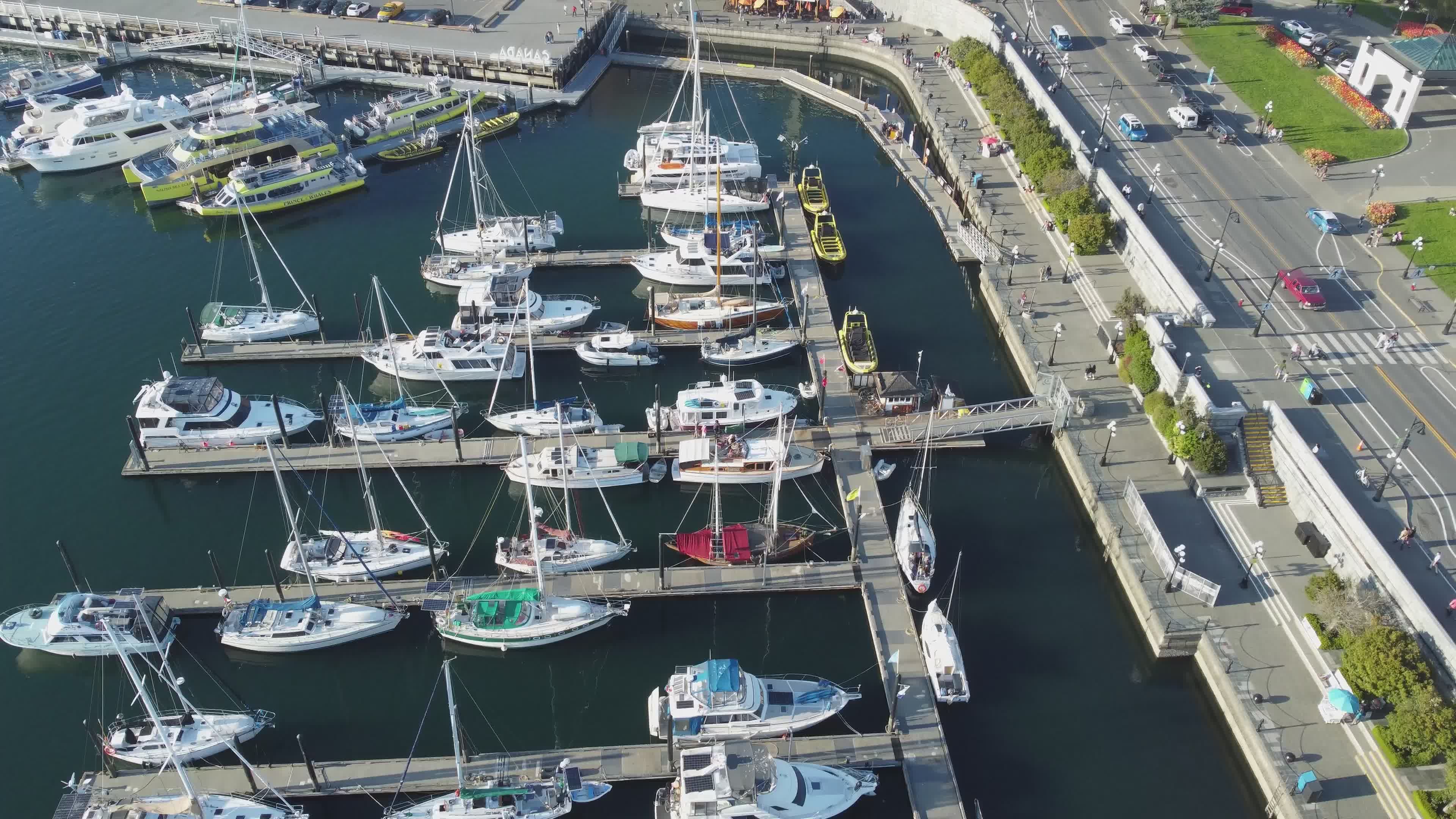 Aerial View of Busy Marina with Docked Boats Free Stock Video Footage ...