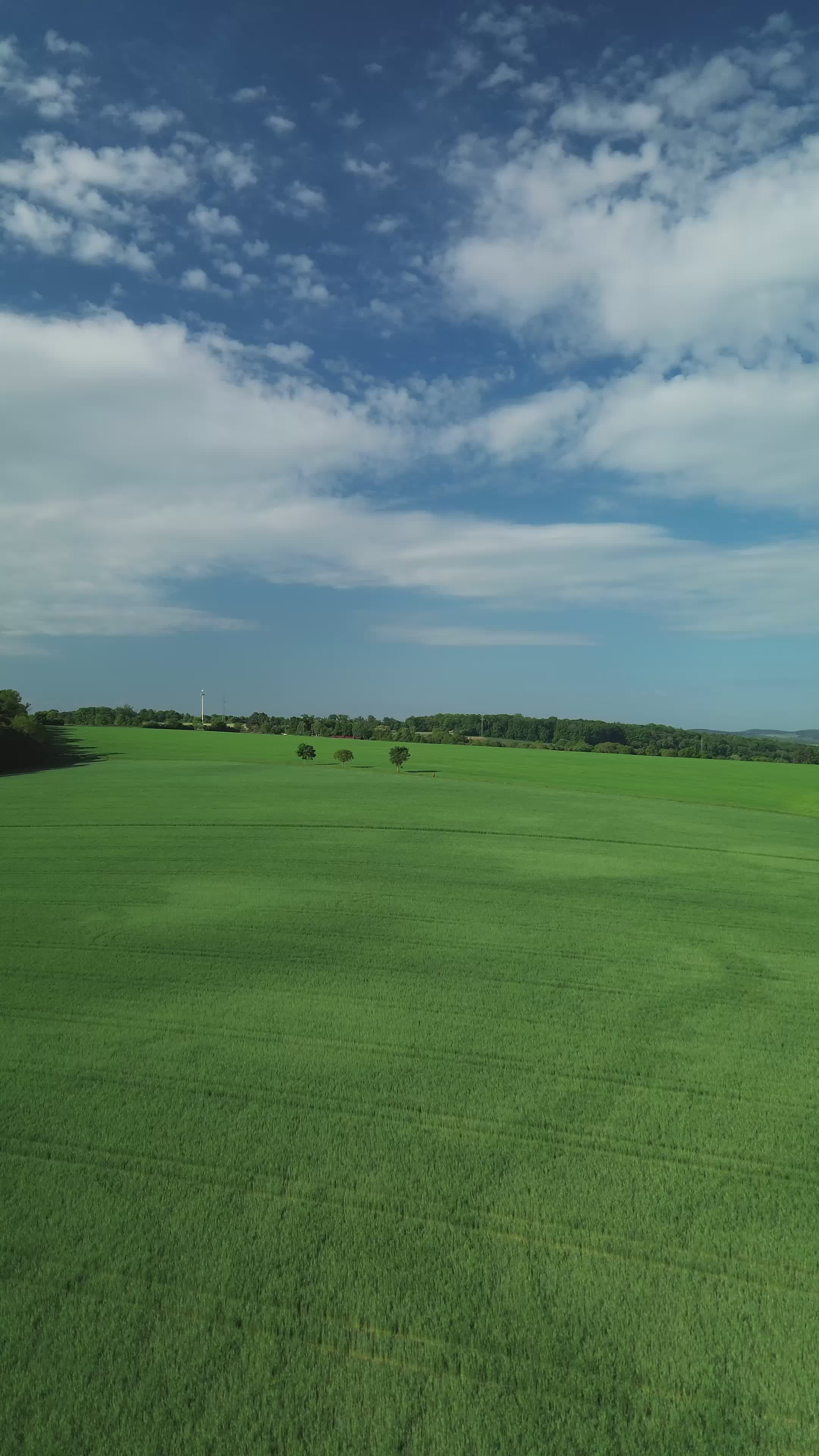 Scenic Aerial View of Lush Green Field Free Stock Video Footage ...