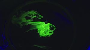 Ebony+And+Black+Blow+Jobs Videos, Download The BEST Free 4k Stock Video