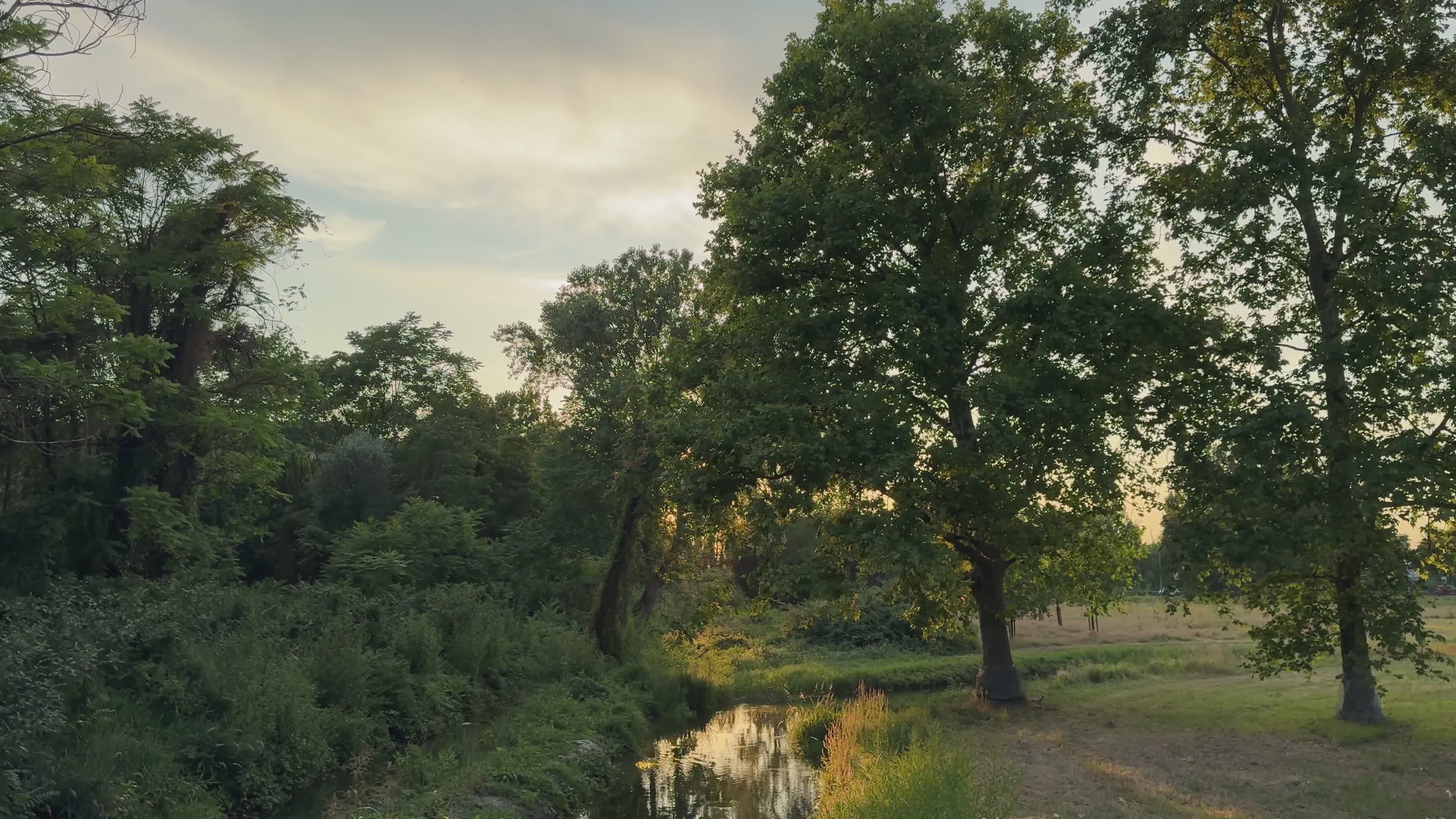 Video by Earth Photart