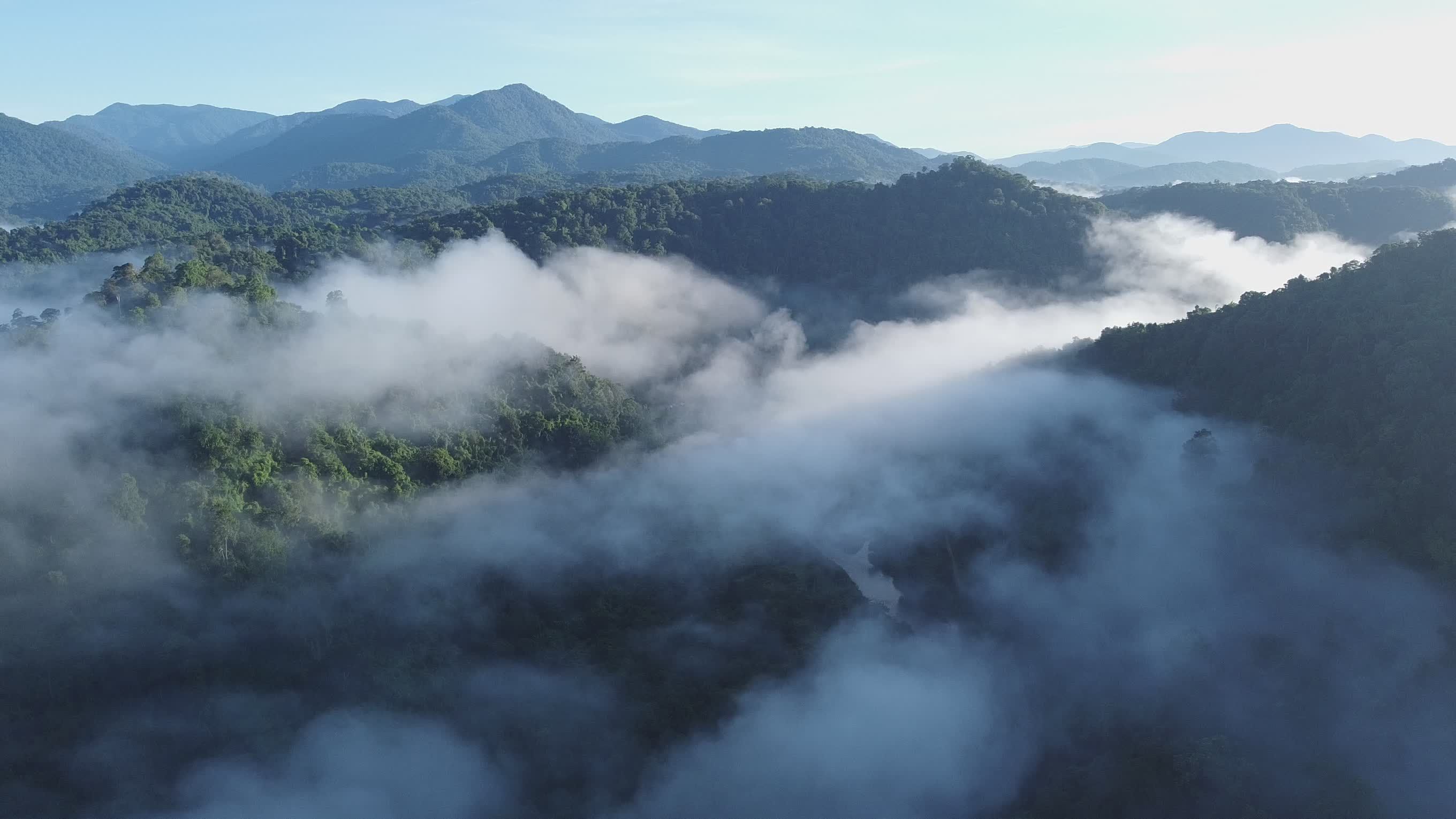 Aerial View of Misty Mountain Forest Landscape Free Stock Video Footage ...