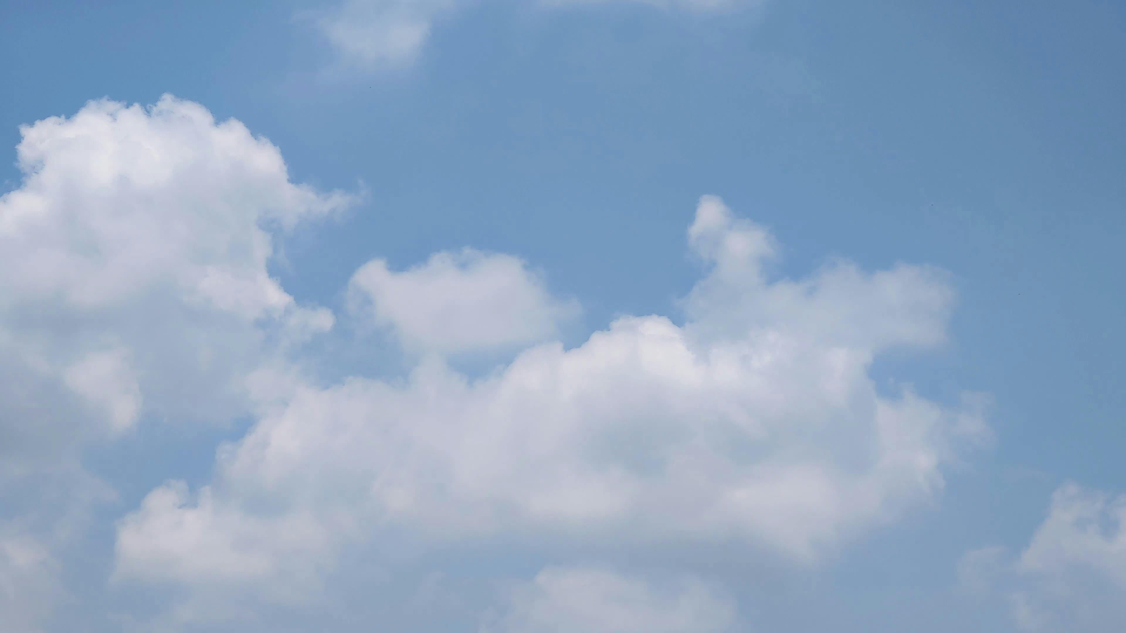 Video by Larkkid Dung