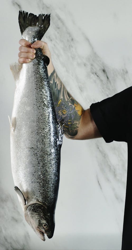 A Person Holding A Salmon Fish From The Tail