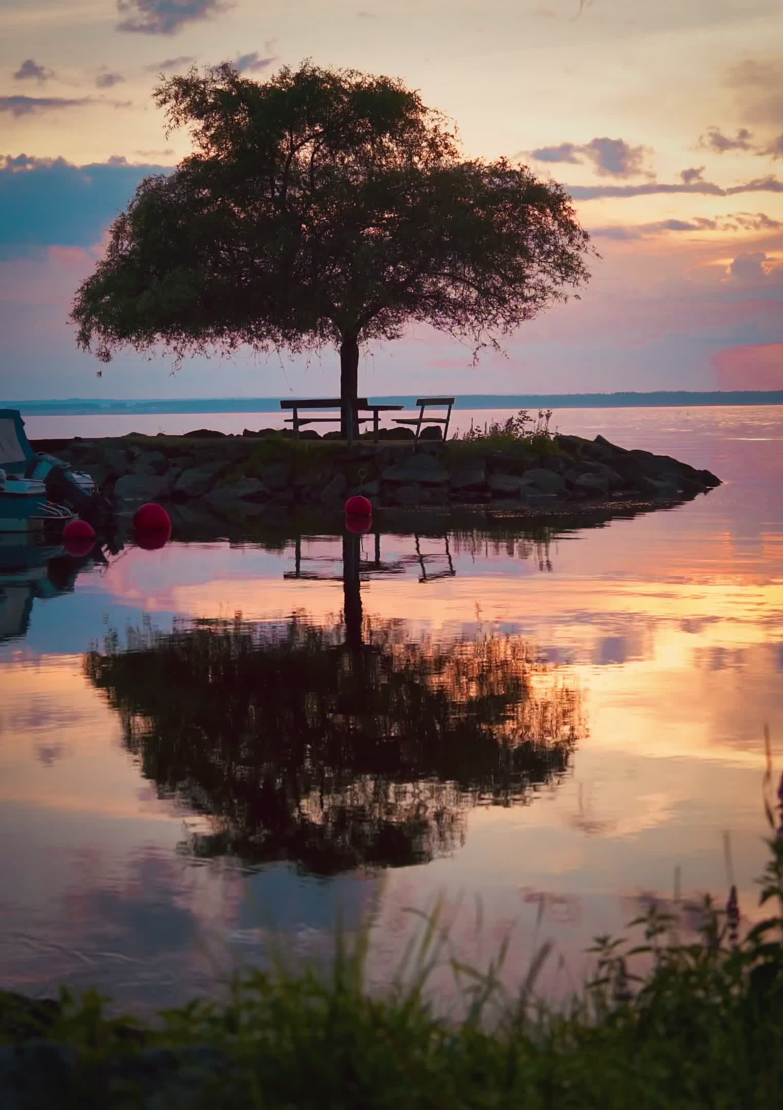 Serene Lakeside Sunrise Reflection Free Stock Video Footage, Royalty ...