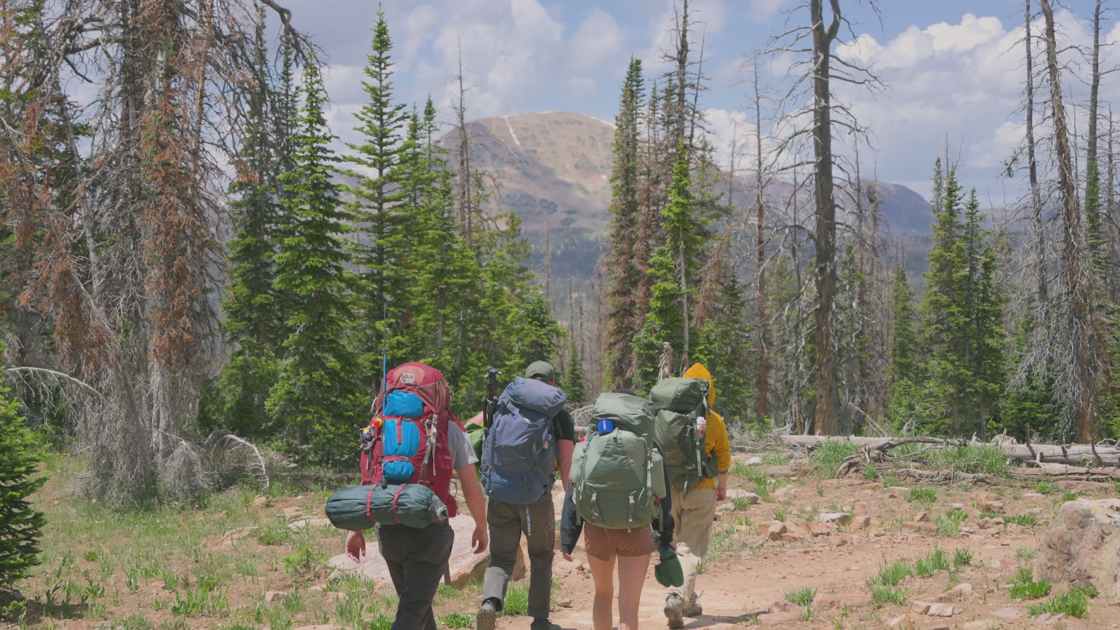hiking through uinta mountains in utah 33052542