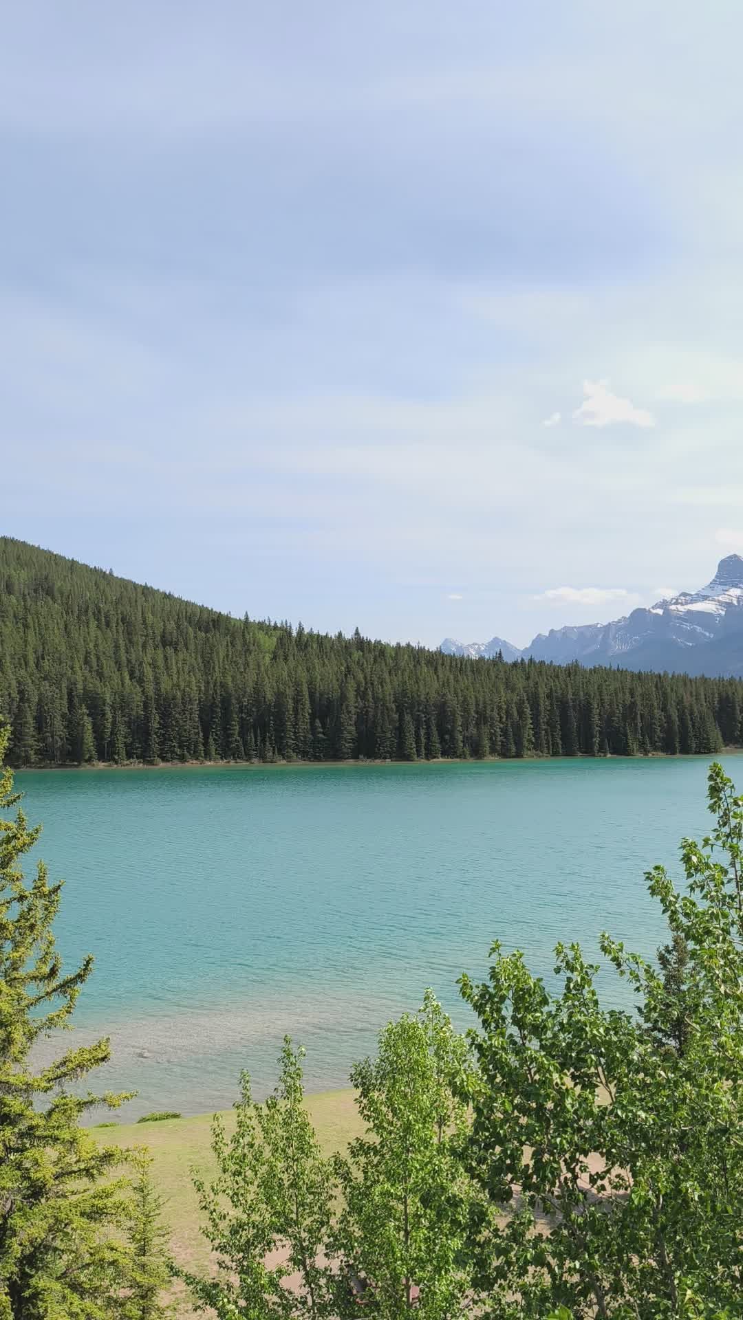 Scenic Mountain Lake with Evergreen Forest View Free Stock Video ...
