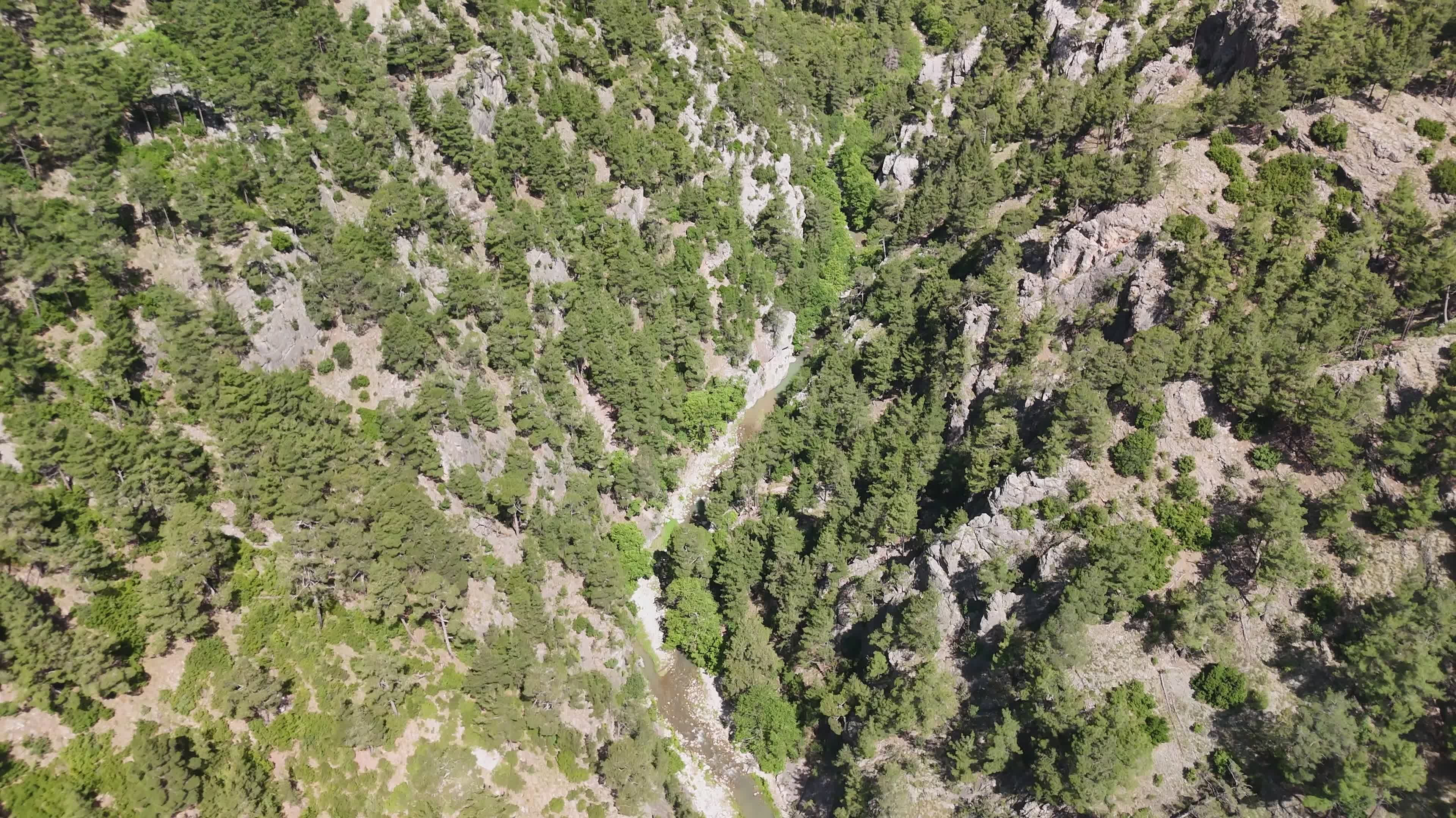 Stunning Aerial View of Forested Mountain Valley Free Stock Video ...