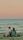 couple beach sunset