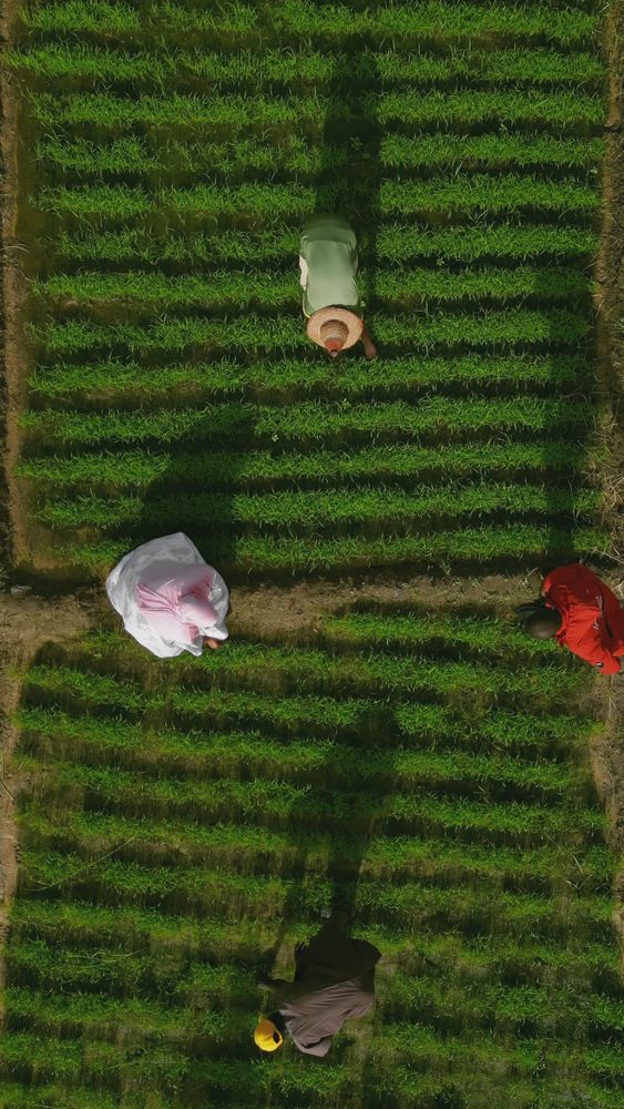 Agriculture Videos, Download The BEST Free 4k Stock Video Footage ...
