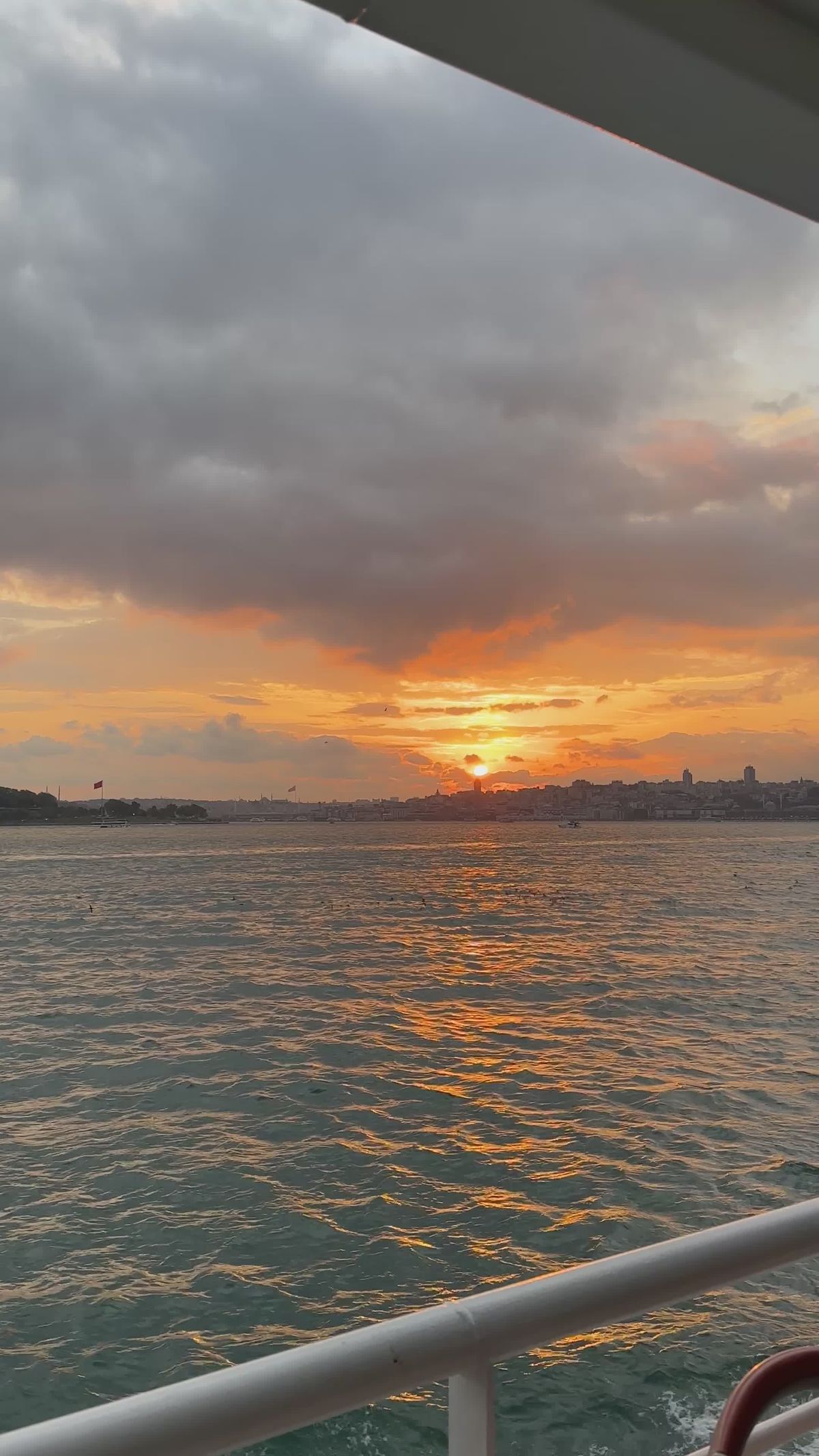 Tami+Tsunami+Free+Video Videos, Download The BEST Free 4k Stock Video