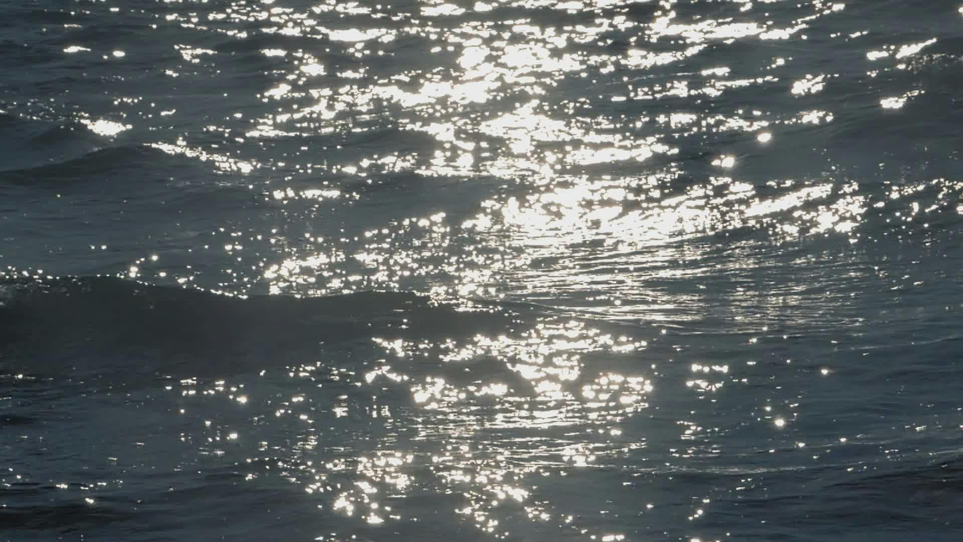 Video by Mario Krimer