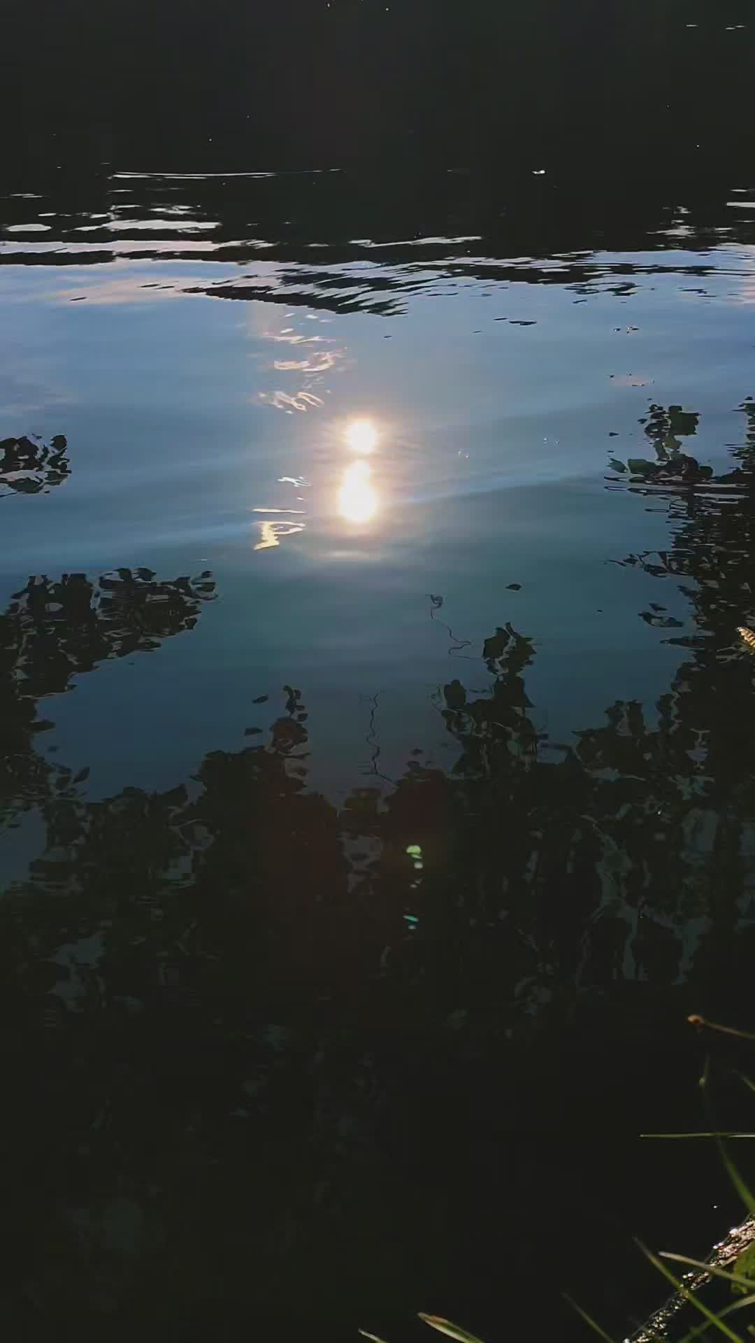 Rippling Water Surface Reflecting Sunlight Free Stock Video Footage ...