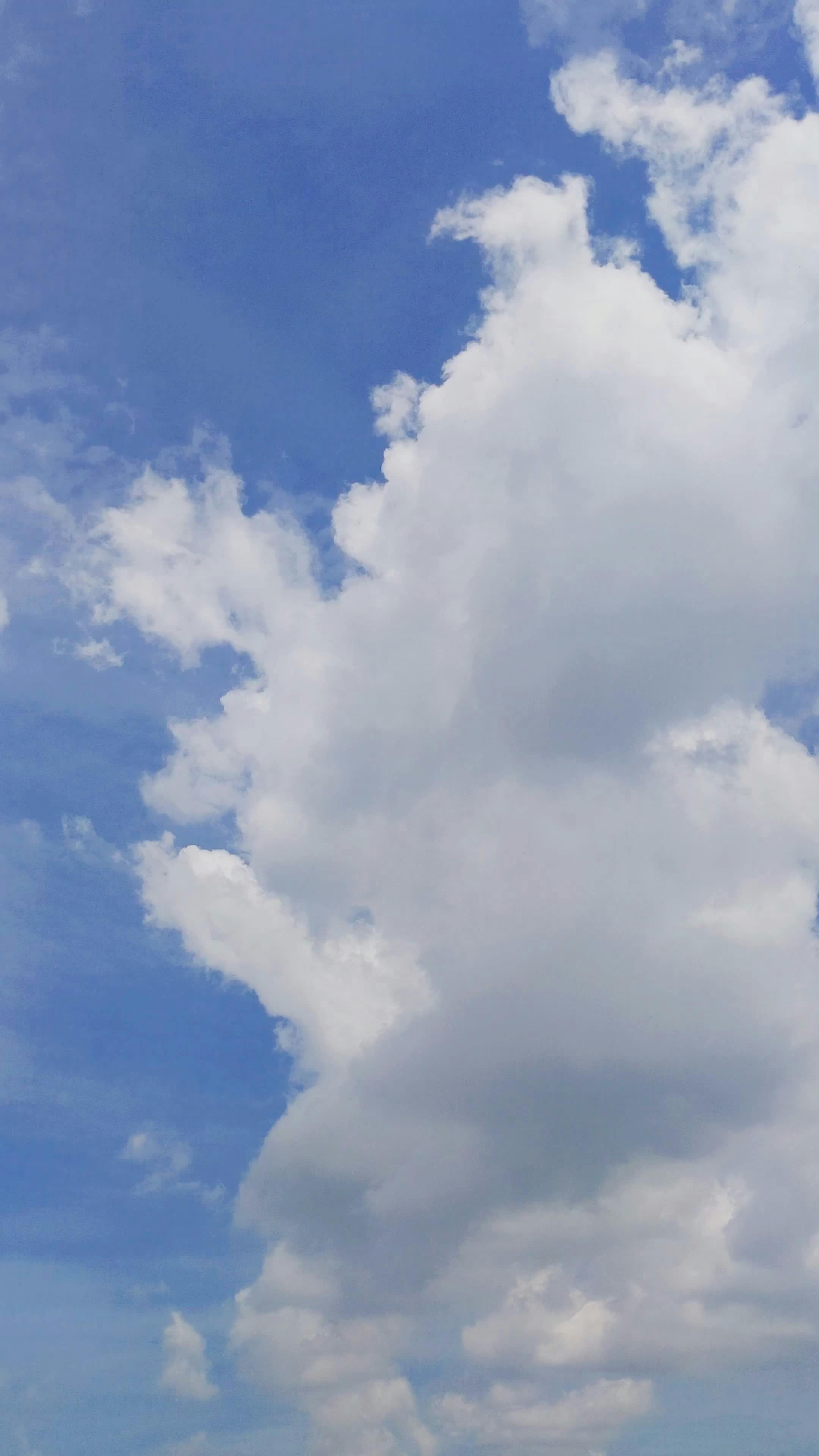 Video by Larkkid Dung